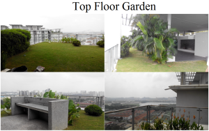 Top Floor Garden